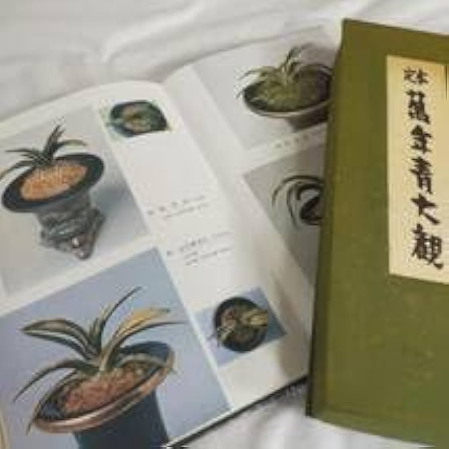 萬年青 図版 保育社 萬年青 図版 保育社 s001 HON6 大型本 榊原八朗 編 「萬年青